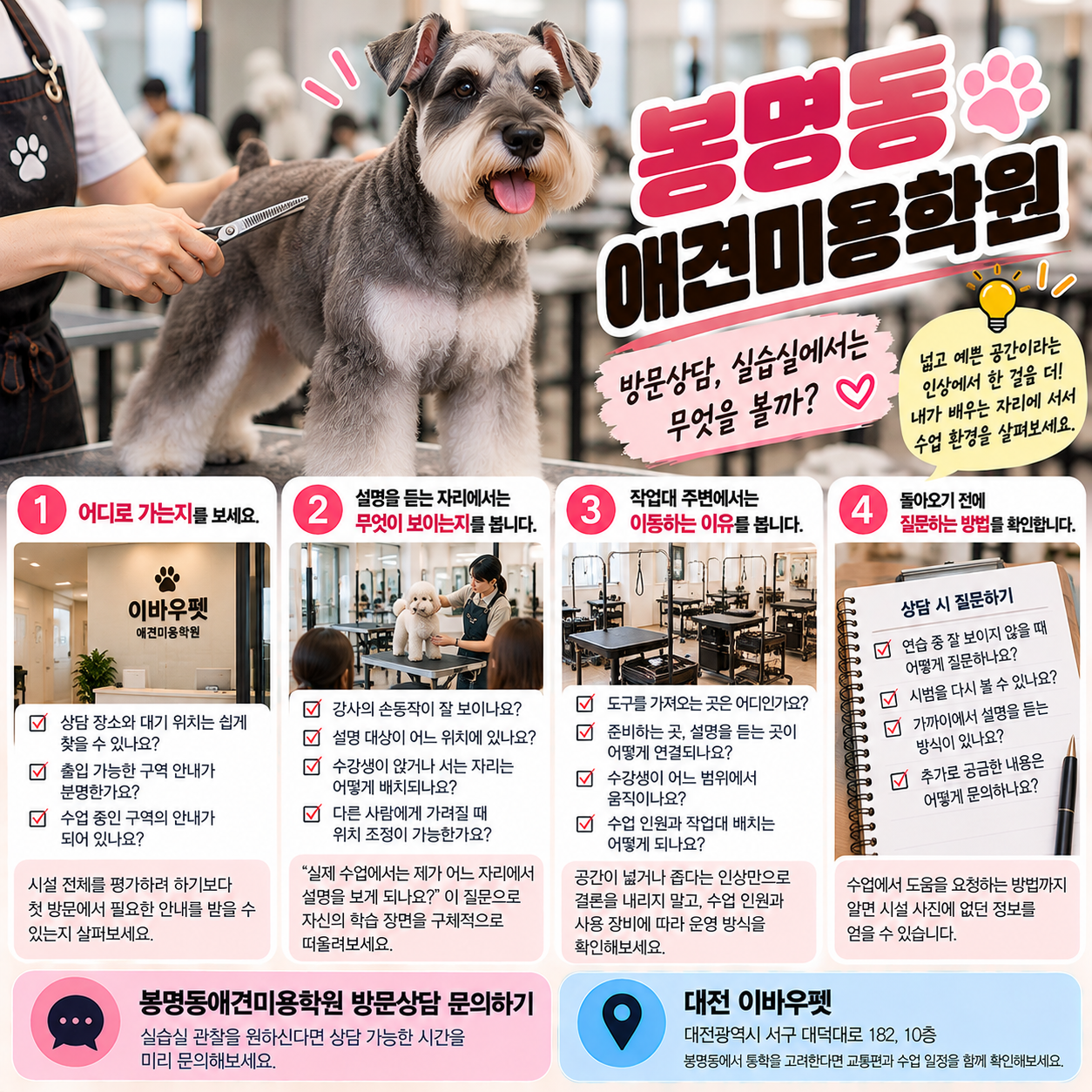 봉명동애견미용학원 안내 썸네일