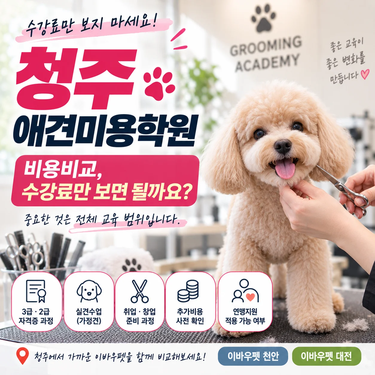 청주애견미용학원 비용비교, 중요한 것은 전체 교육 범위입니다 - 이바우펫