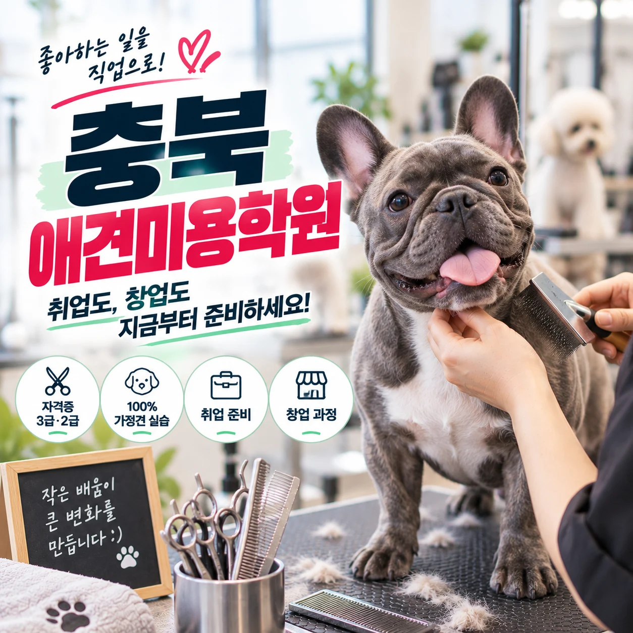 충북애견미용학원 취업과 창업 목표에 따라 준비가 달라집니다 - 이바우펫