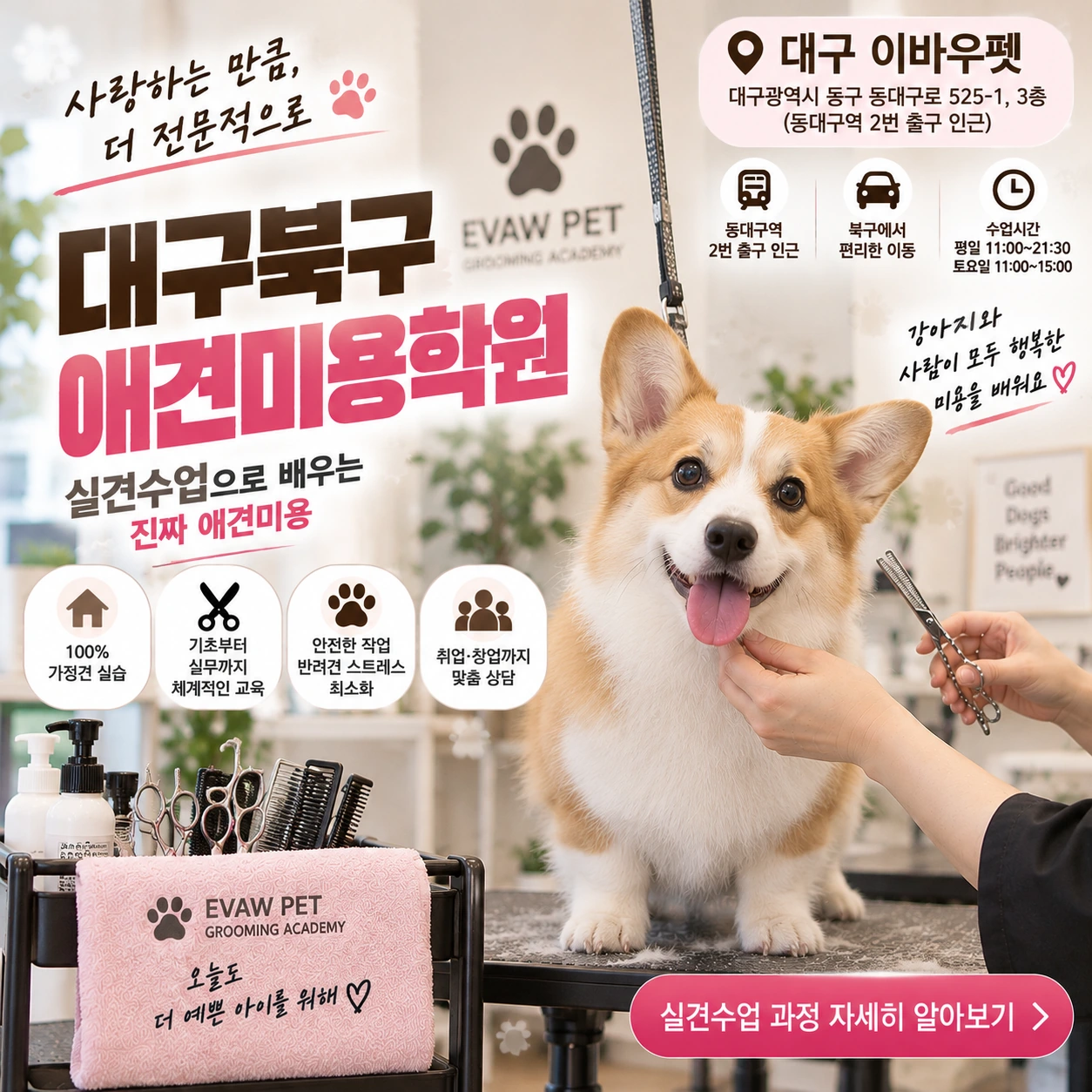 대구북구애견미용학원 실견수업에서 무엇을 배워야 할까?