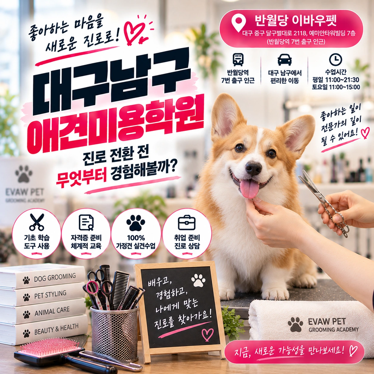 대구남구애견미용학원 진로 전환 전 무엇부터 경험해볼까?