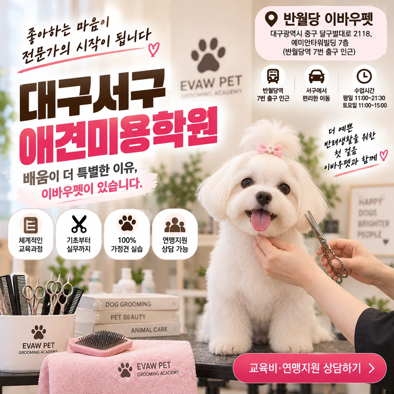 대구서구애견미용학원 비용, 같은 기준으로 비교하고 있나요?