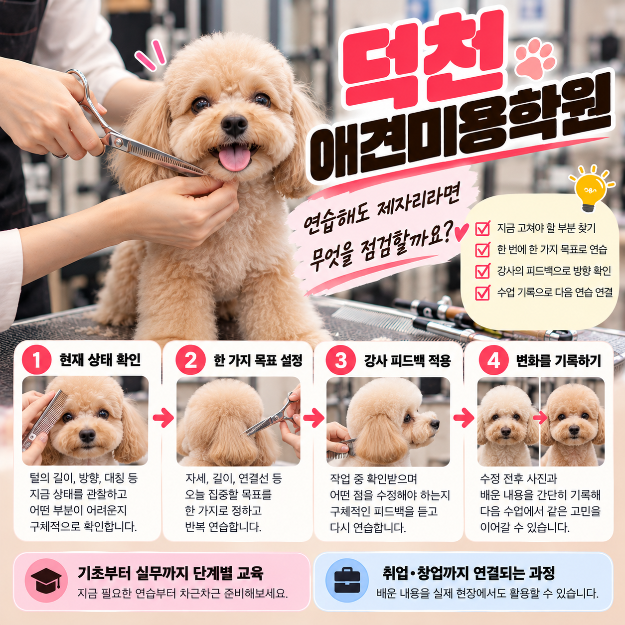 덕천애견미용학원 안내 썸네일