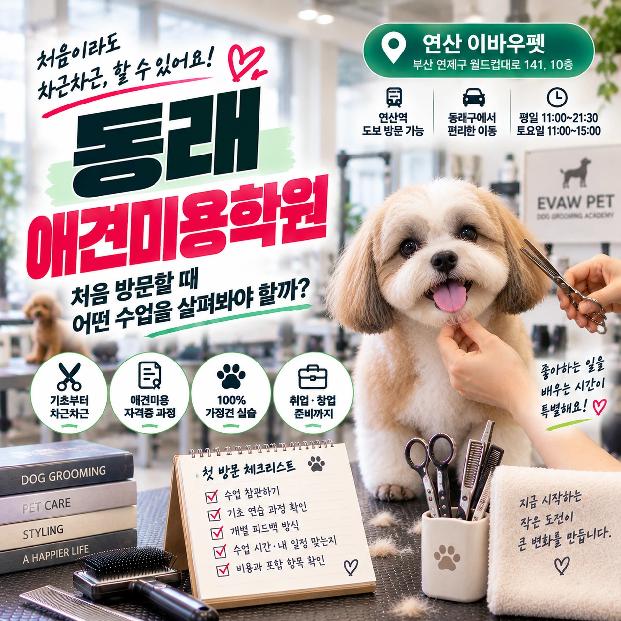 동래애견미용학원 처음 방문할 때 어떤 수업을 살펴봐야 할까?