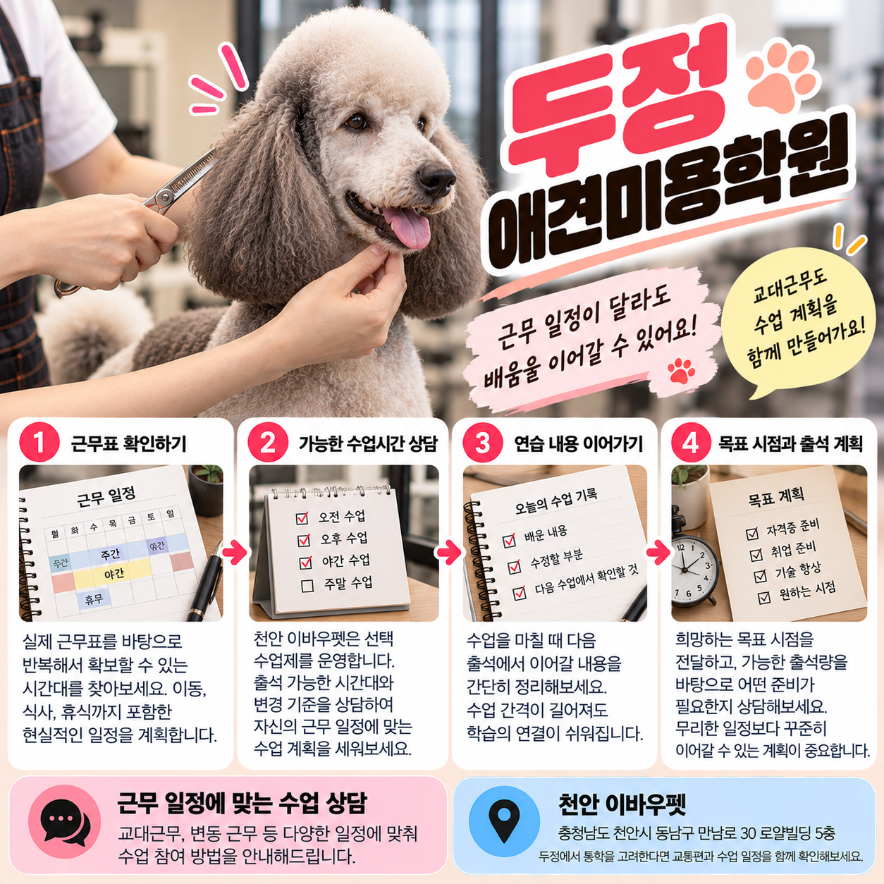 두정애견미용학원 안내 썸네일