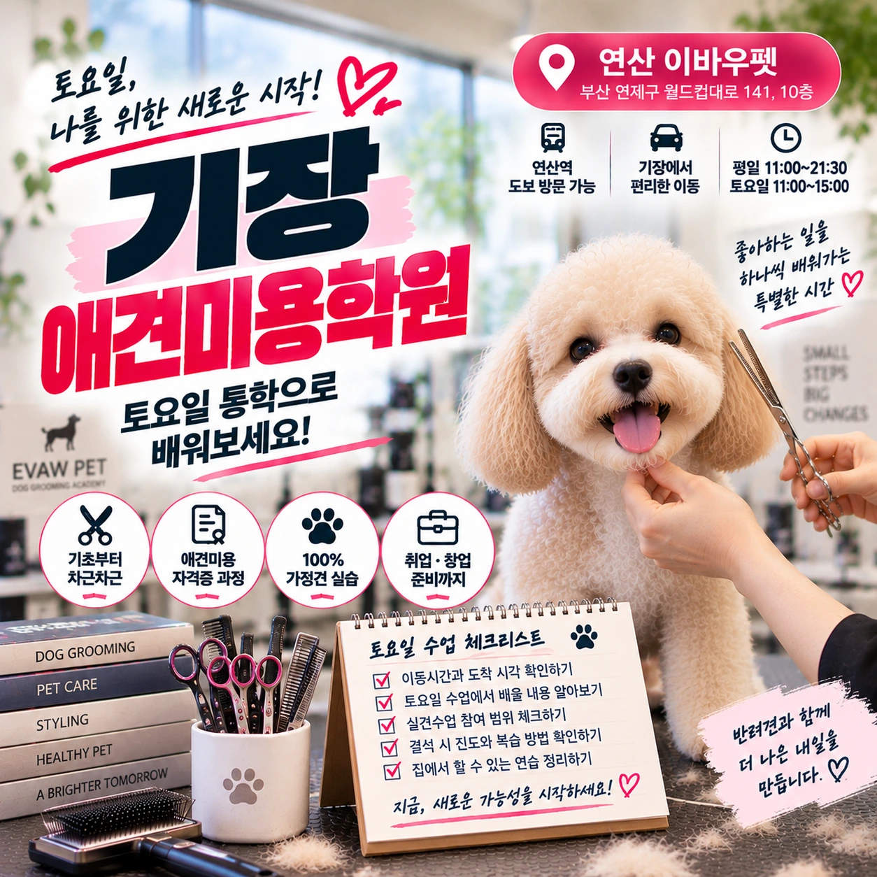 기장애견미용학원 주말 통학으로 배우려면 어떻게 계획할까?