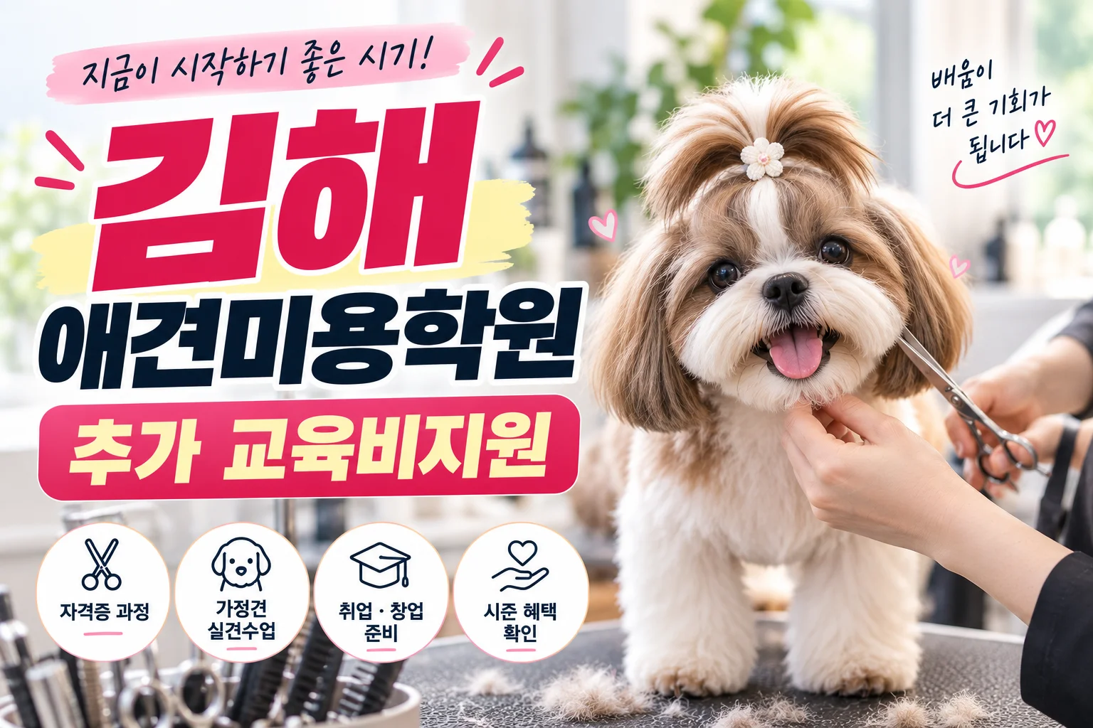 김해애견미용학원 알아보는 시기, 추가 교육비지원도 확인해보세요 - 이바우펫