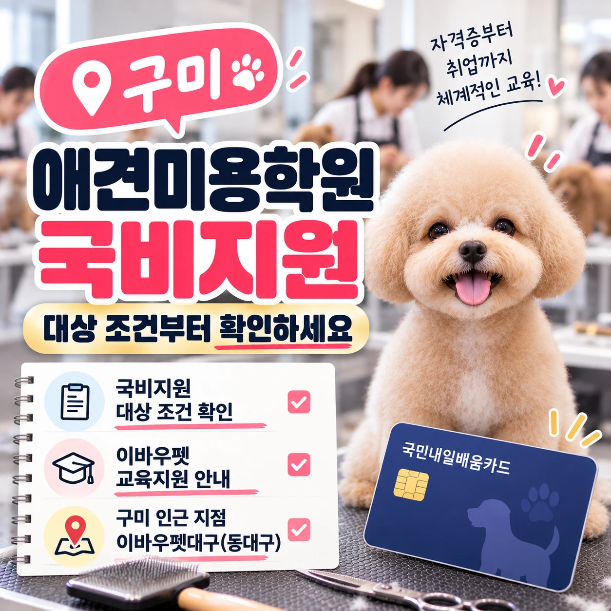 구미애견미용학원 국비지원, 대상 조건부터 확인하세요 - 이바우펫
