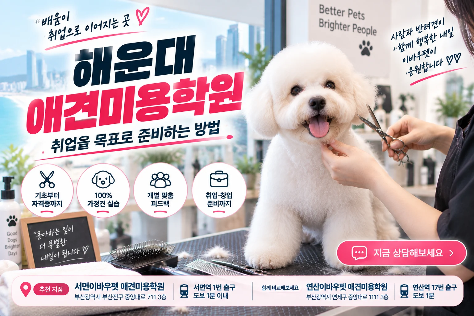 해운대애견미용학원 찾는다면, 취업을 목표로 준비하는 방법 - 이바우펫