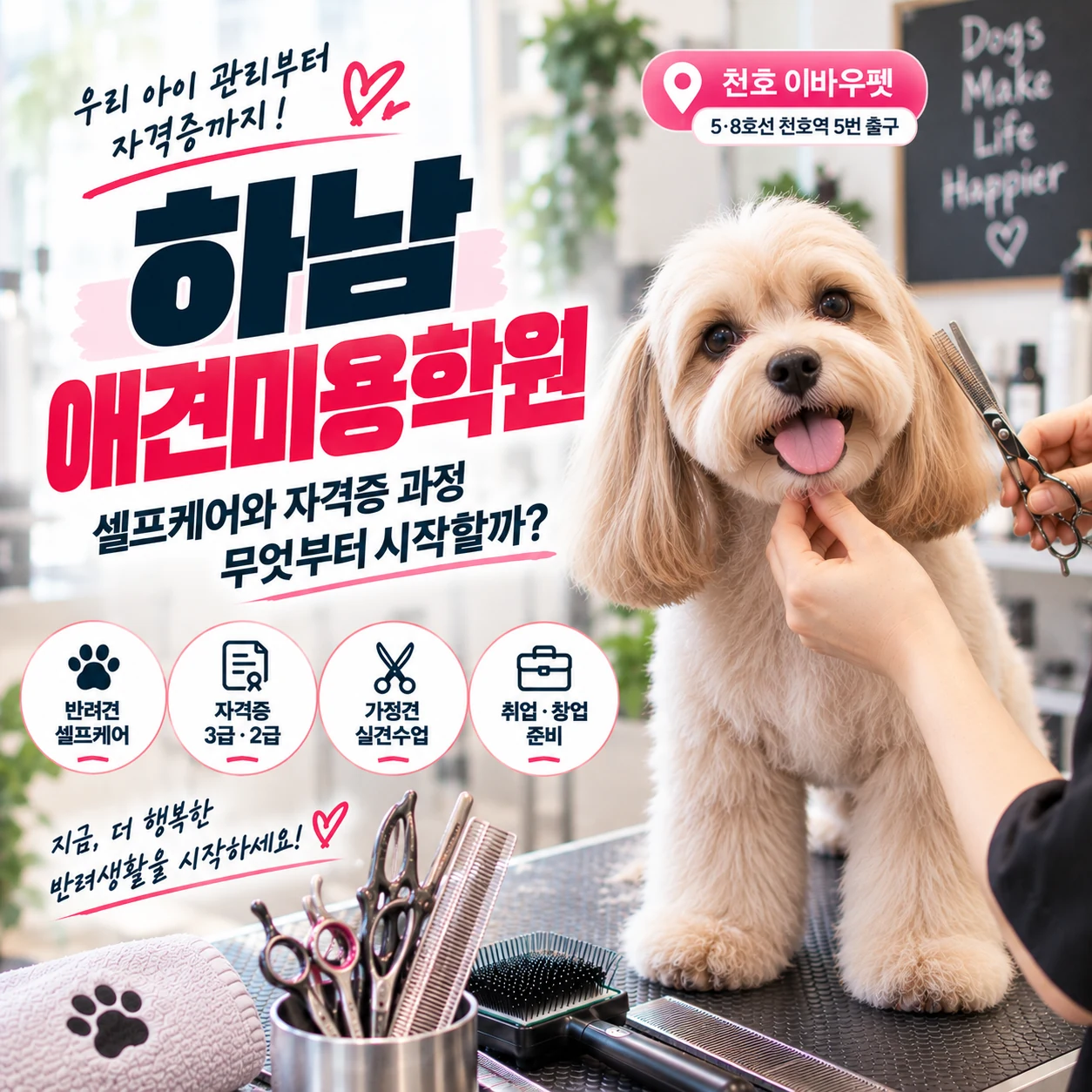하남애견미용학원 셀프케어와 자격증 과정 중 무엇부터 시작할까?