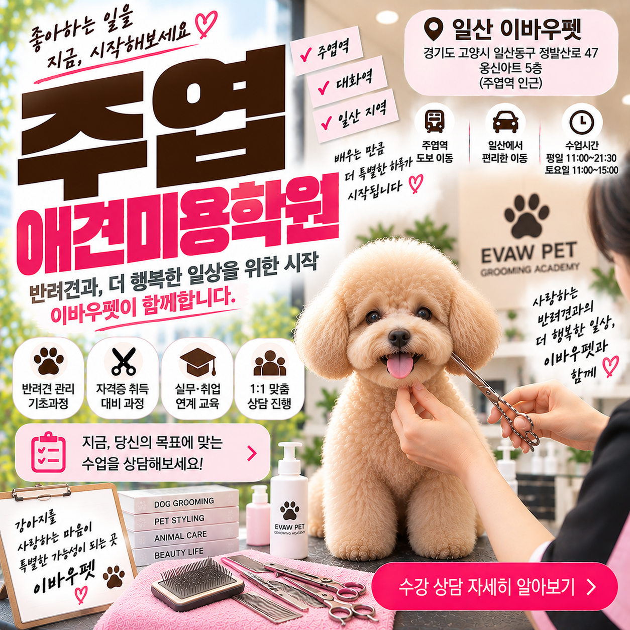 주엽애견미용학원 반려견 관리와 자격증 중 무엇부터 배울까?