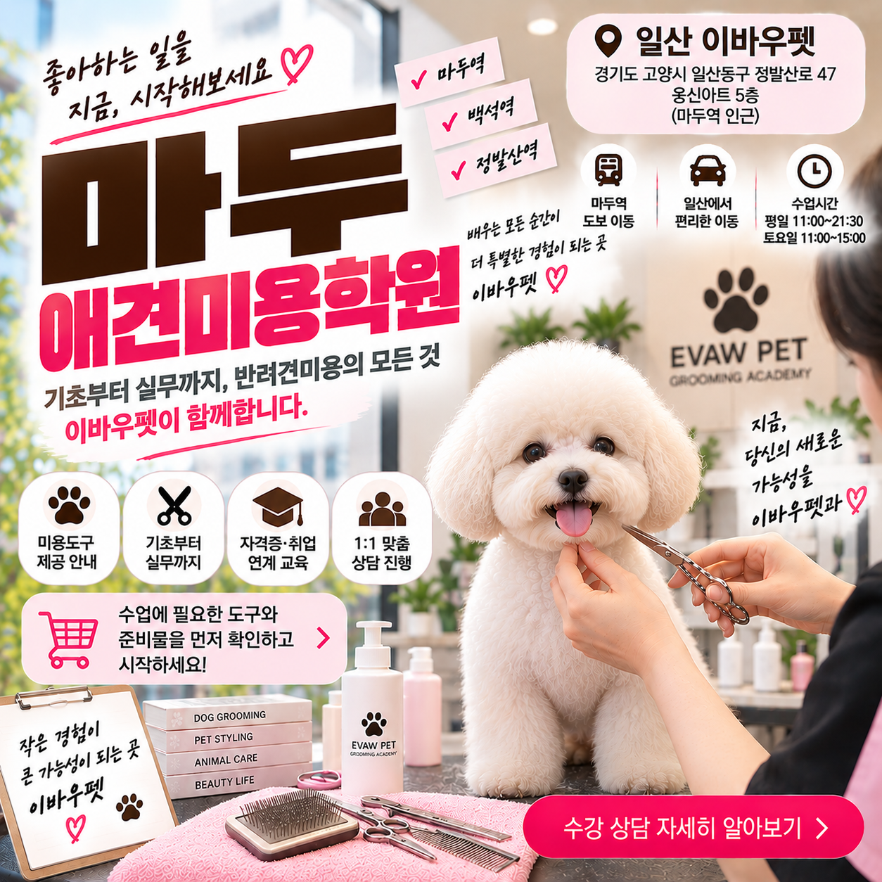 마두애견미용학원 등록 전에 미용도구부터 구매해도 될까?