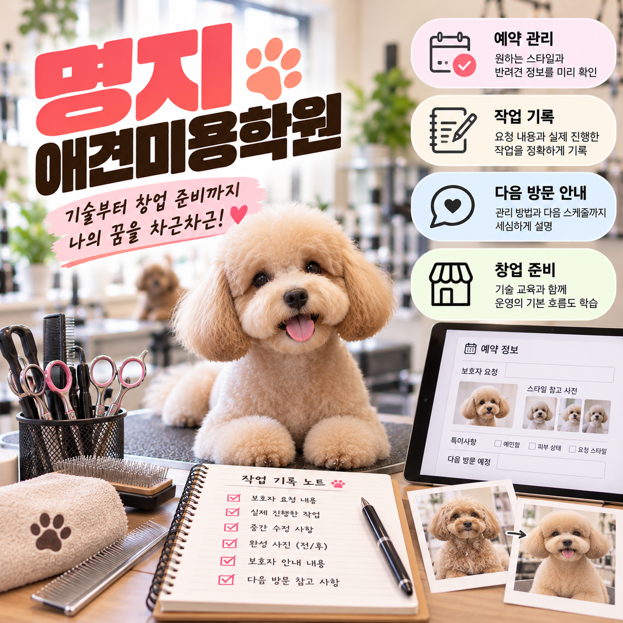 명지애견미용학원 안내 썸네일