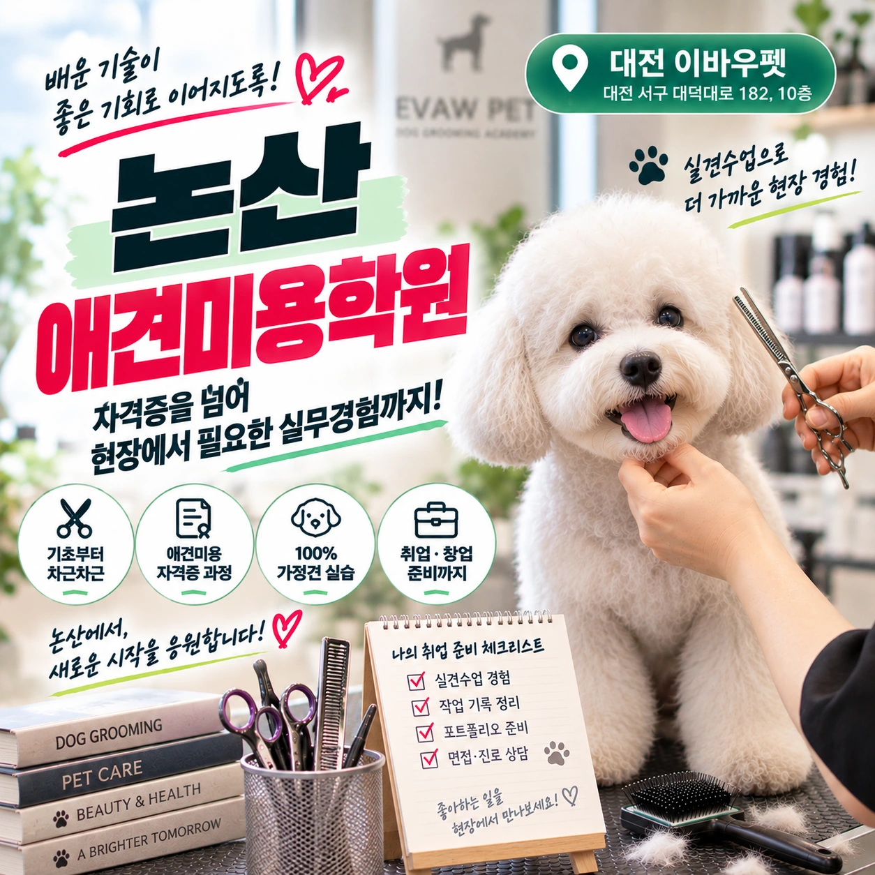논산애견미용학원 취업 준비에 필요한 실견수업은 어떻게 확인할까?