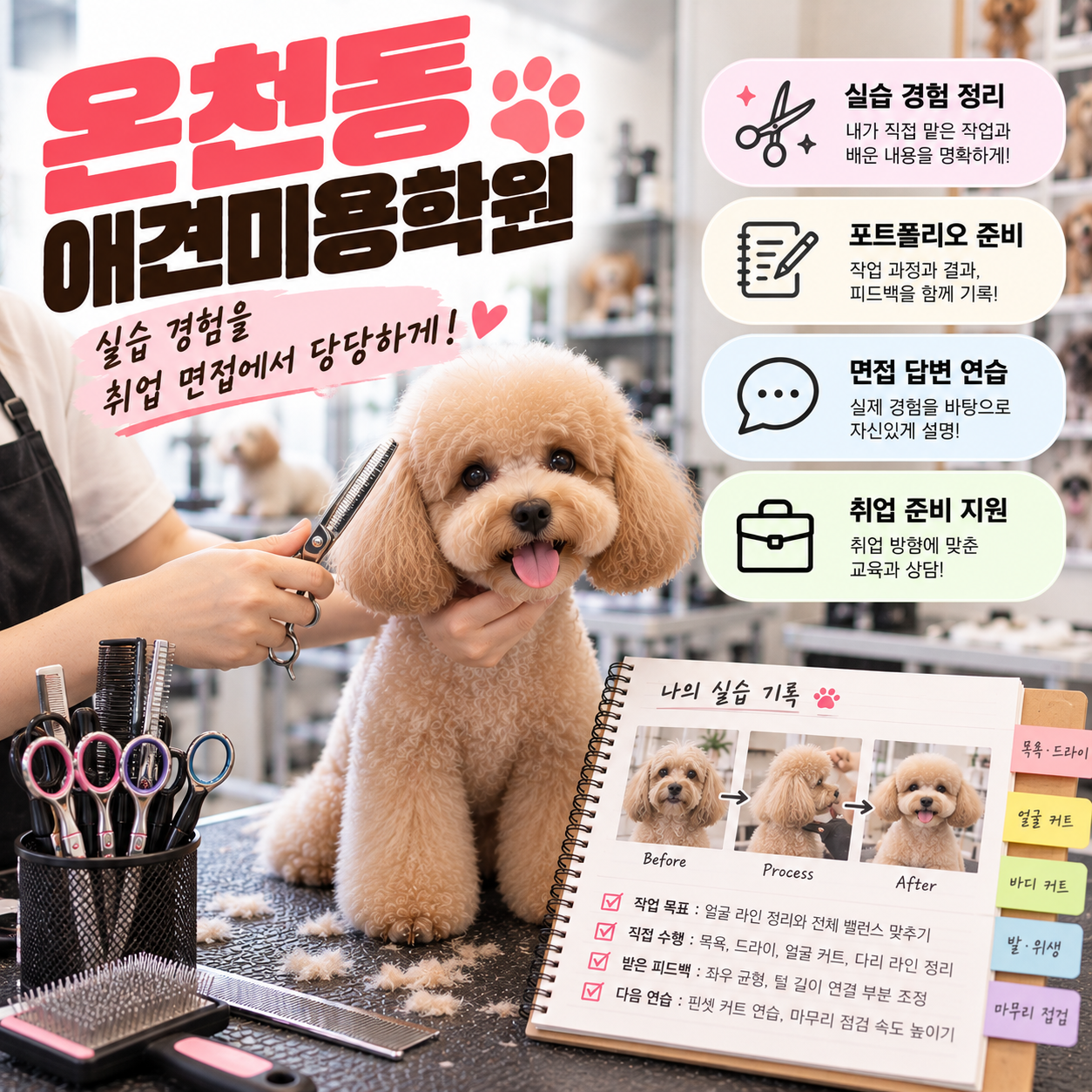온천동애견미용학원 안내 썸네일