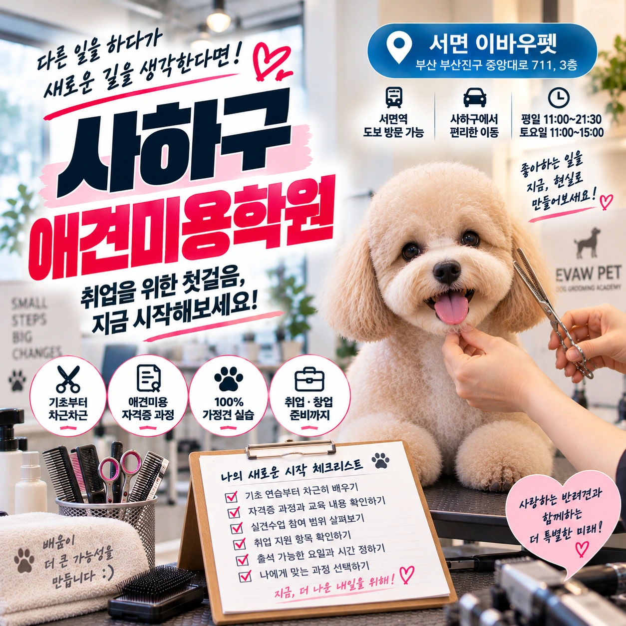 사하구애견미용학원 다른 일을 하다가 취업을 준비하려면?