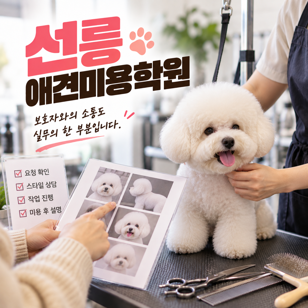 선릉애견미용학원 안내 썸네일