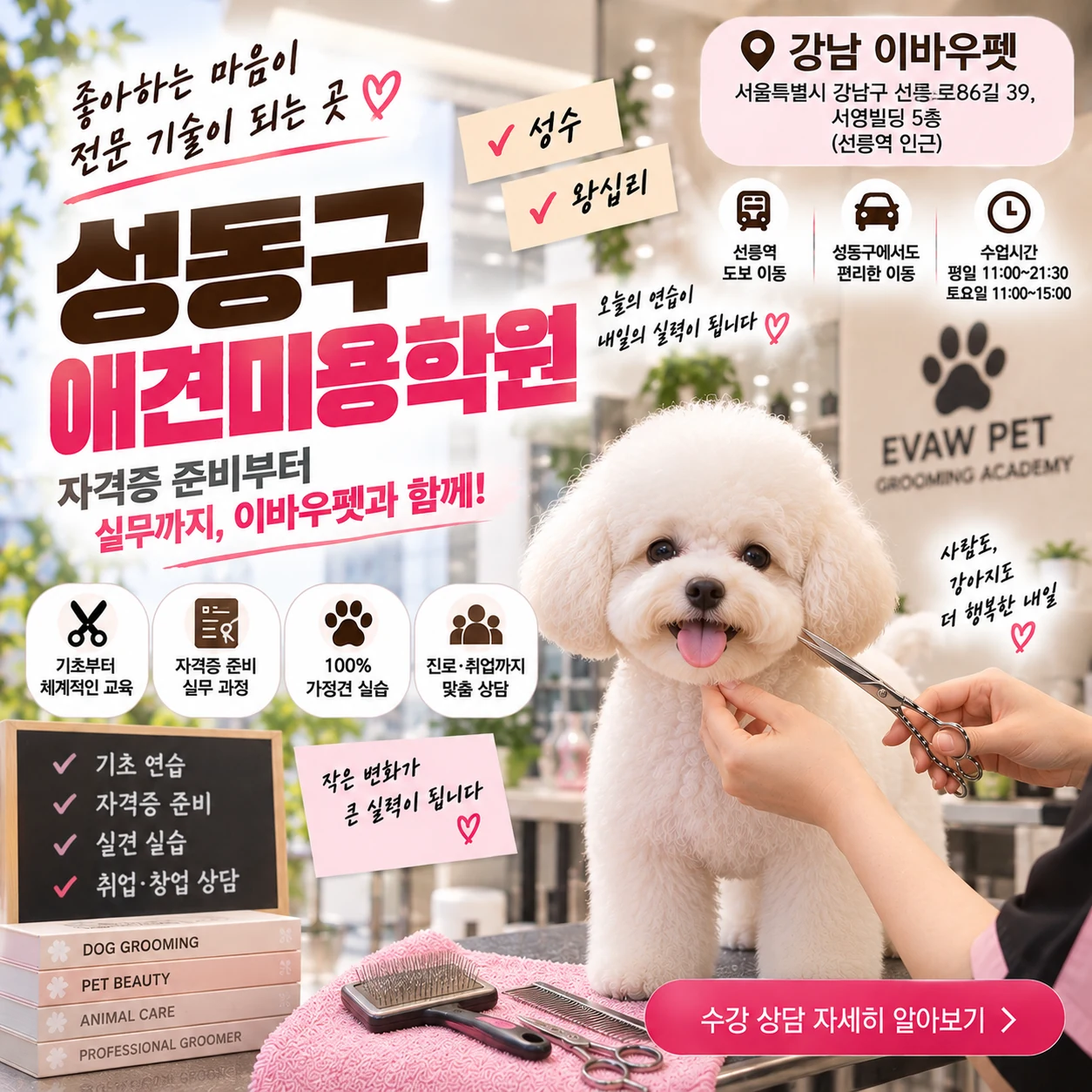 성동구애견미용학원 자격증 준비, 연습이 쌓이는 수업은 어떻게 볼까?