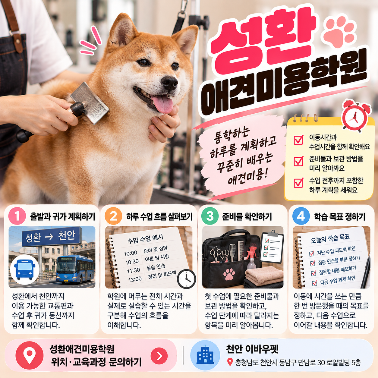 성환애견미용학원 안내 썸네일