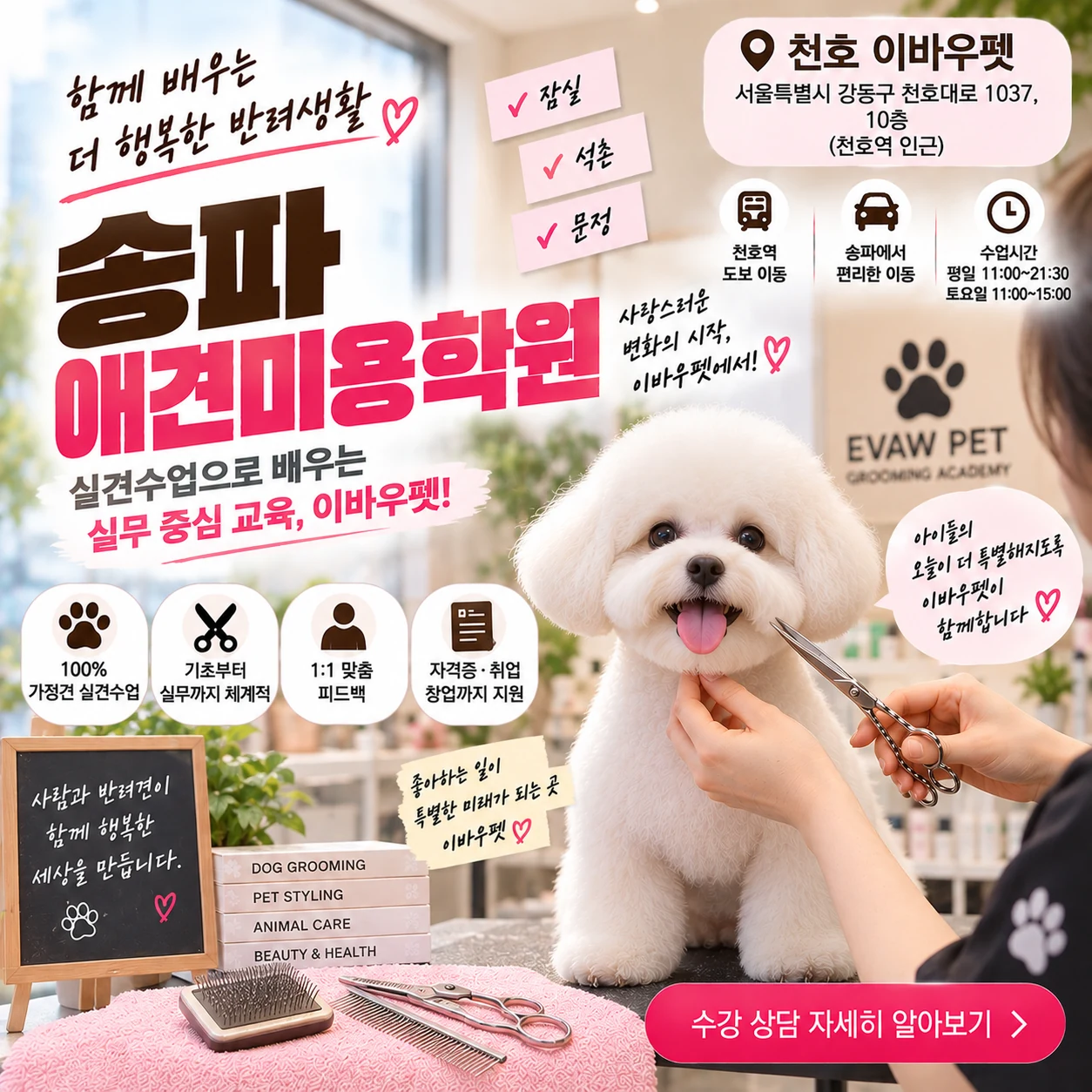 송파애견미용학원 실견수업, 직접 참여하는 범위를 확인하세요