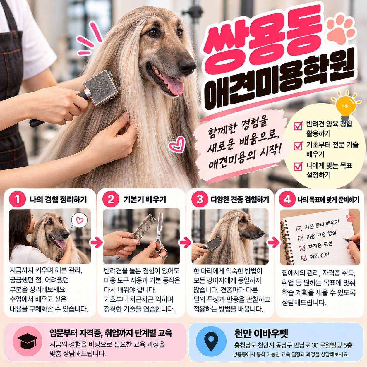 쌍용동애견미용학원 안내 썸네일