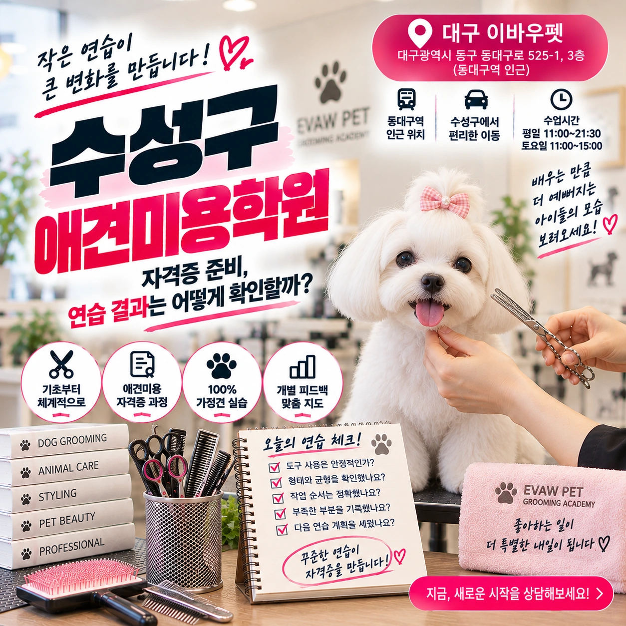 수성구애견미용학원 자격증 준비, 연습 결과는 어떻게 확인할까?