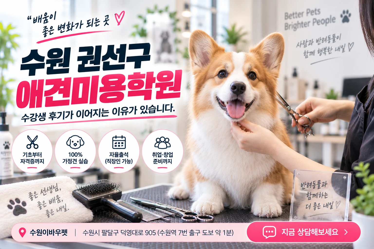수원 권선구애견미용학원 수강생 후기가 이어지는 이유는? - 이바우펫