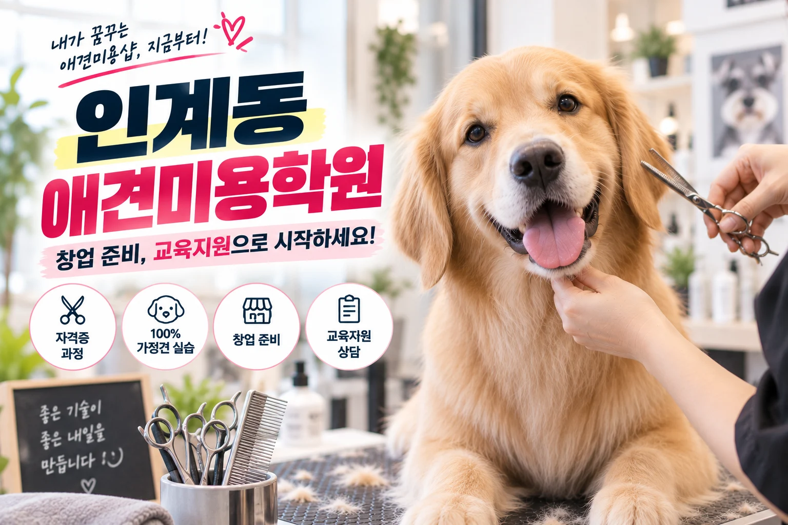 인계동애견미용학원 알아볼 때, 창업 목표라면 교육지원부터 다르게 봐야 합니다 - 이바우펫