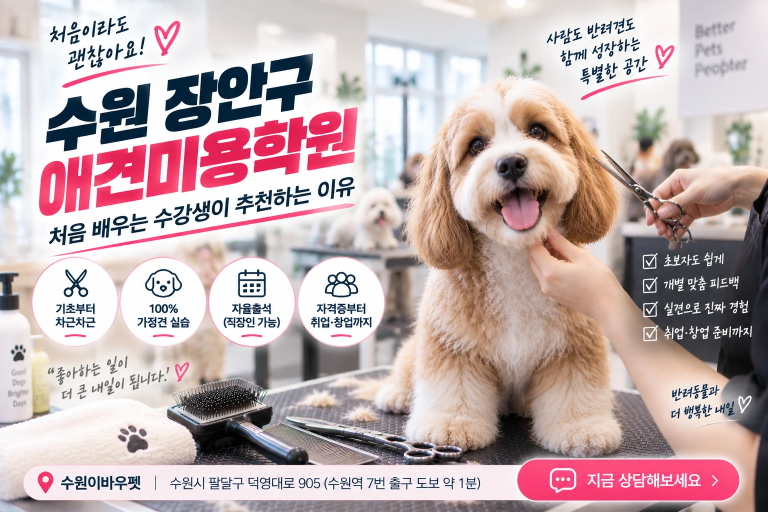 수원 장안구애견미용학원 처음 배우는 수강생이 추천하는 이유 - 이바우펫