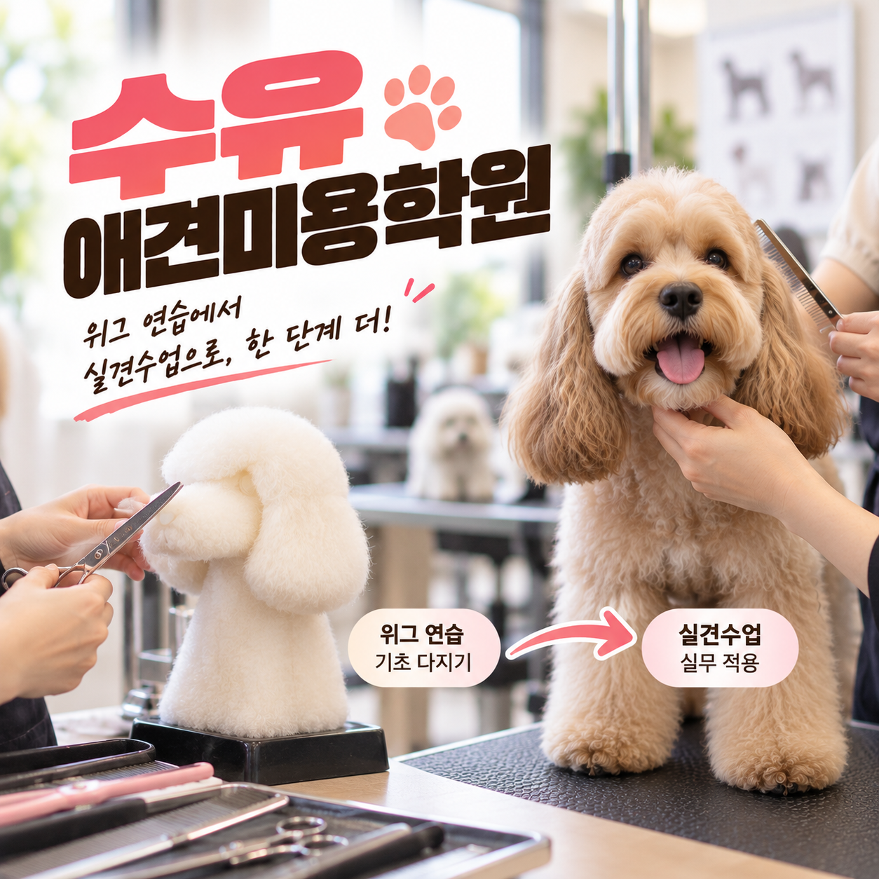 수유애견미용학원 안내 썸네일