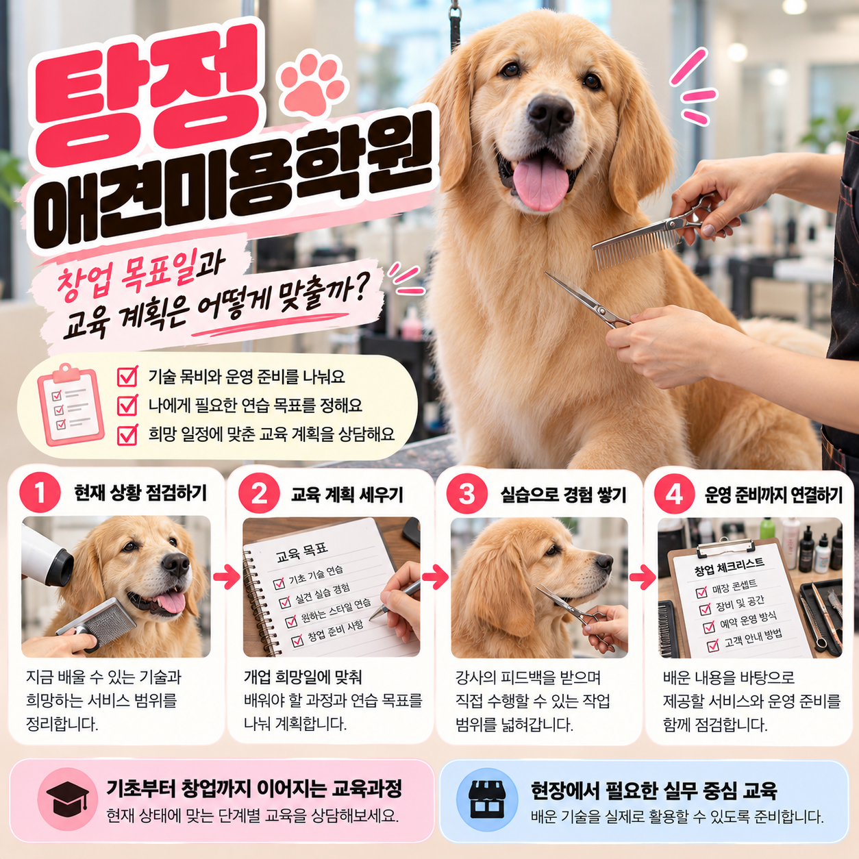탕정애견미용학원 안내 썸네일
