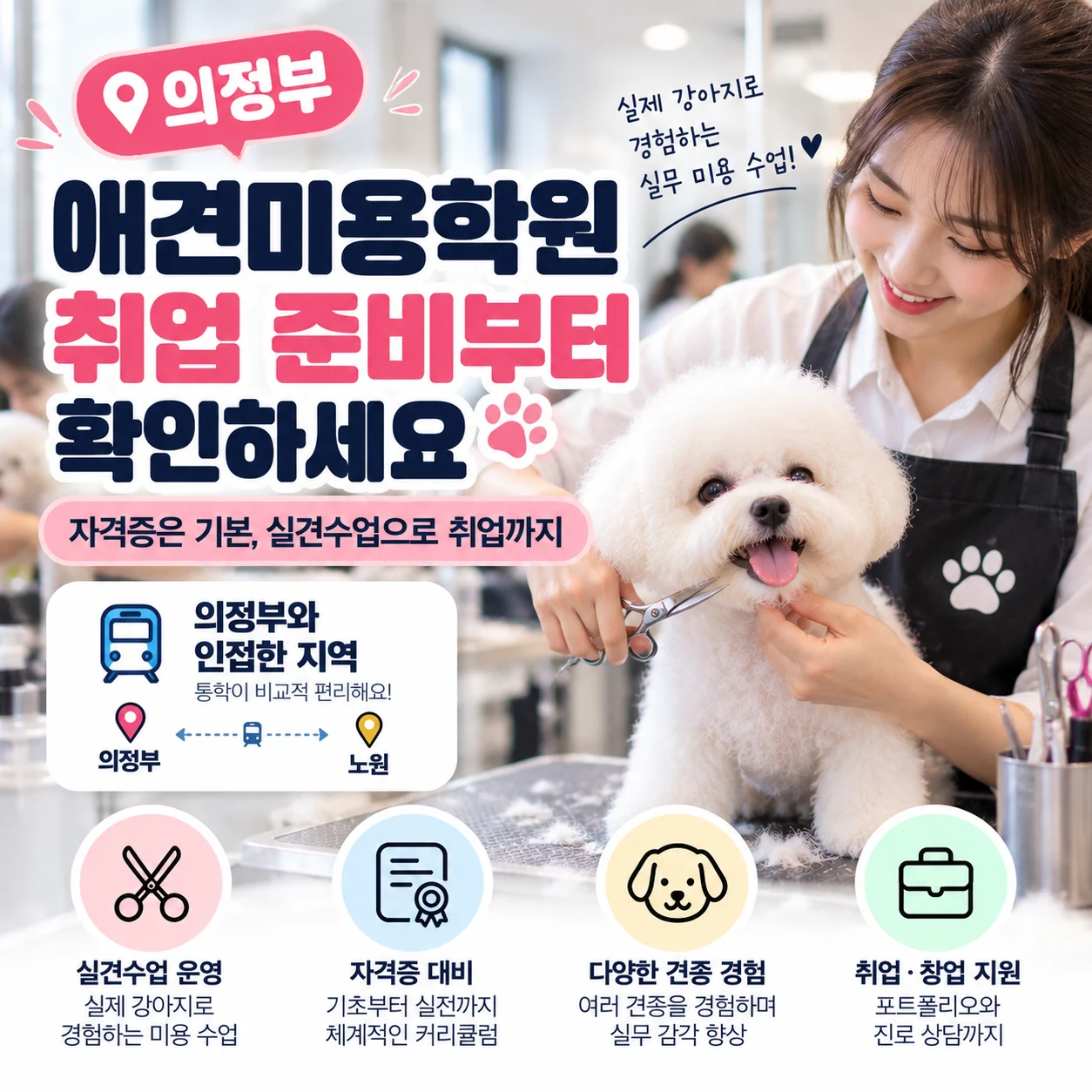 의정부애견미용학원, 애견미용사 취업 준비부터 확인하세요 - 이바우펫