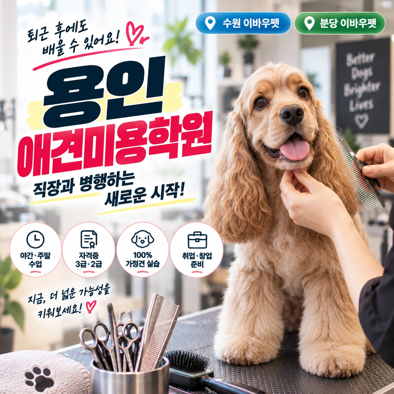 용인애견미용학원 직장과 병행하려면 무엇부터 확인할까?