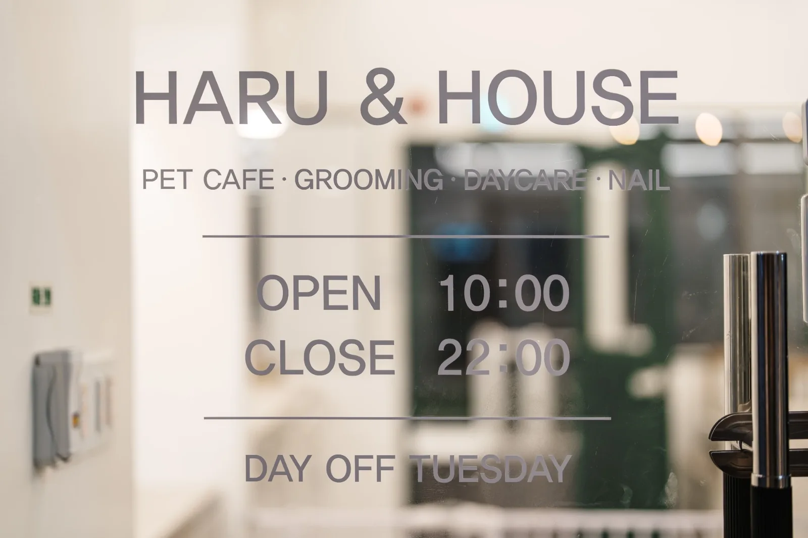 하루앤하우스 출입문 - PET CAFE, GROOMING, DAYCARE, NAIL 안내 문구