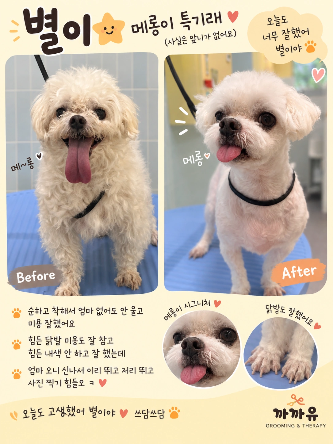 까까유에서 미용받은 별이 - Before & After