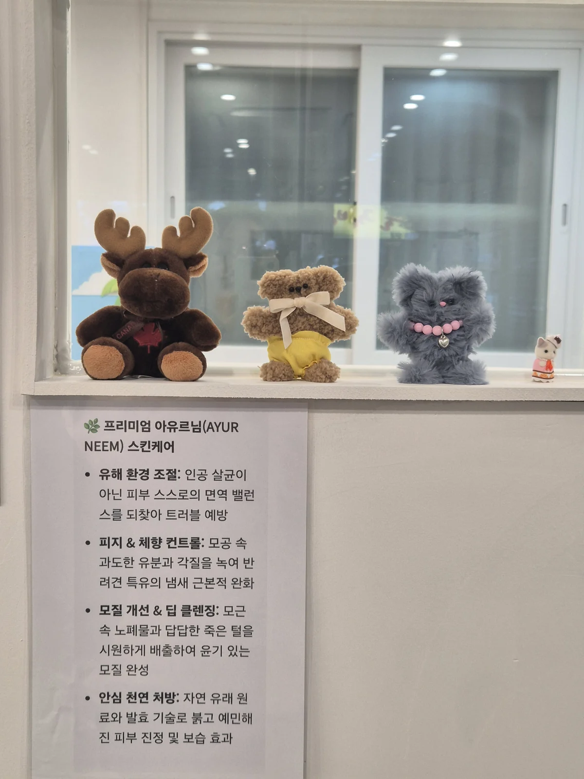 꼼꼼하댕 프리미엄 아유르님(AYUR NEEM) 스킨케어 안내