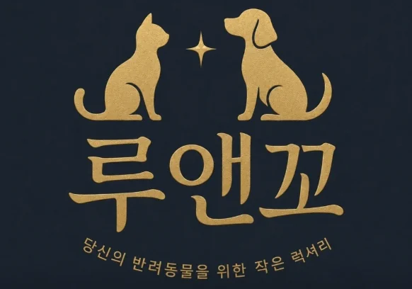운암동애견미용 루앤꼬, 100% 예약제 반려견 미용실
