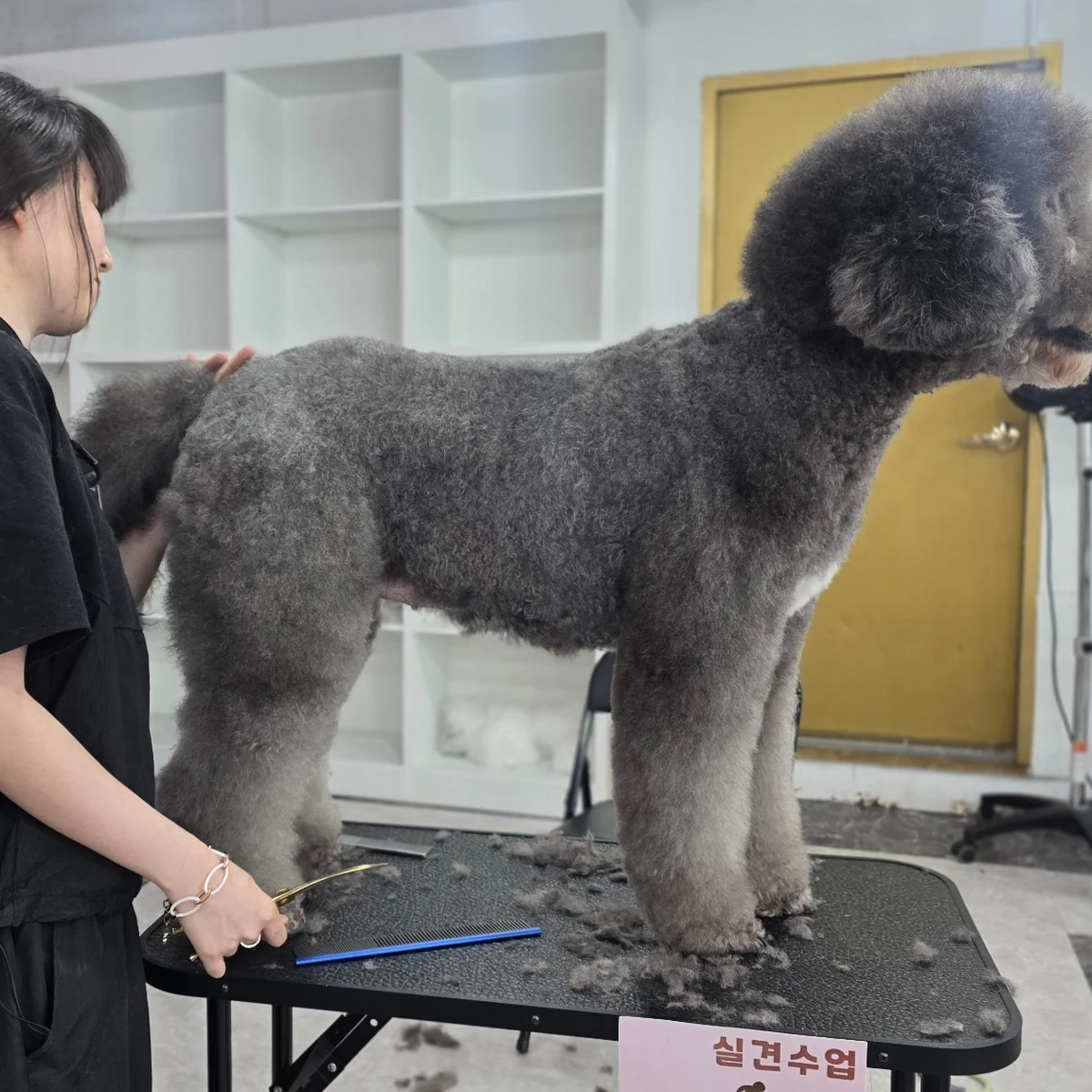 Evaw Pet 수업 현장 사진 9