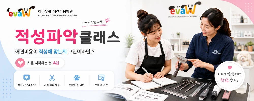 애견미용적성파악 클래스