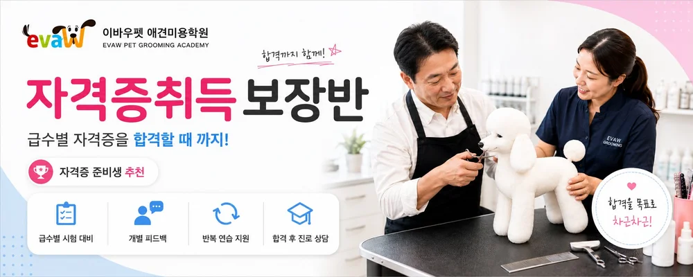 애견미용자격증취득 보장반