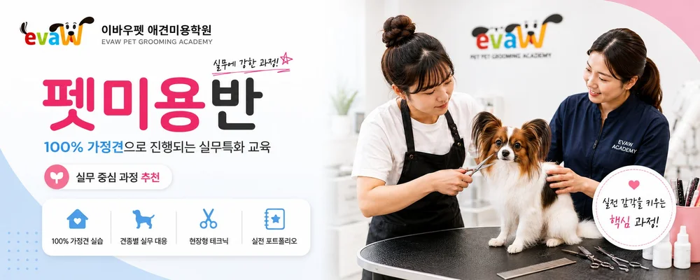 애견미용펫미용