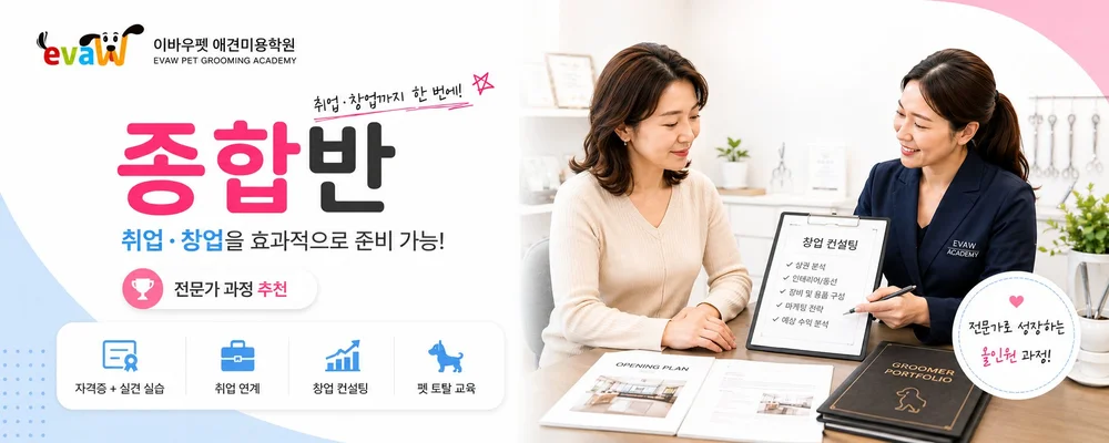 애견미용종합반