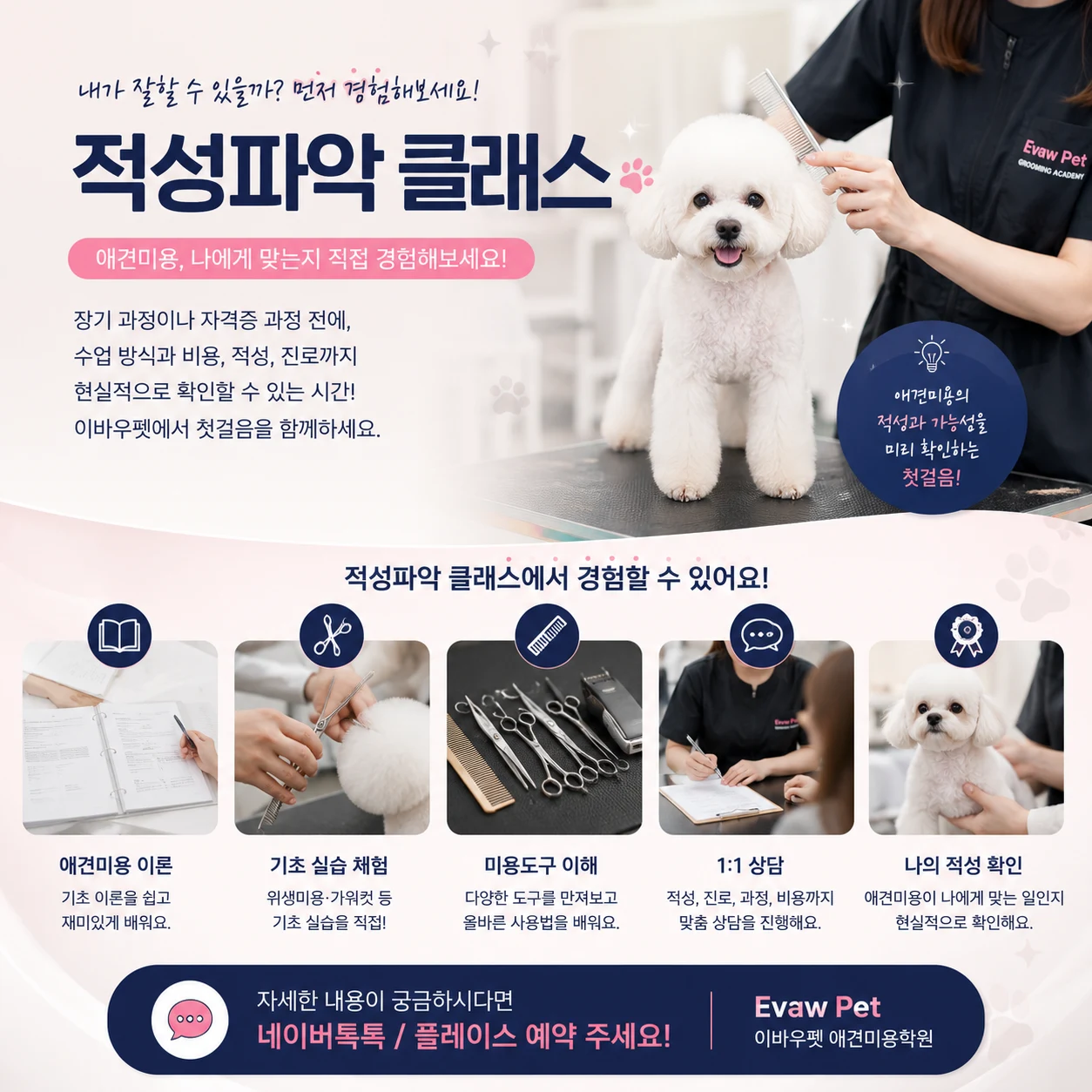 광주애견미용학원 이바우펫의 적성파악 개강!