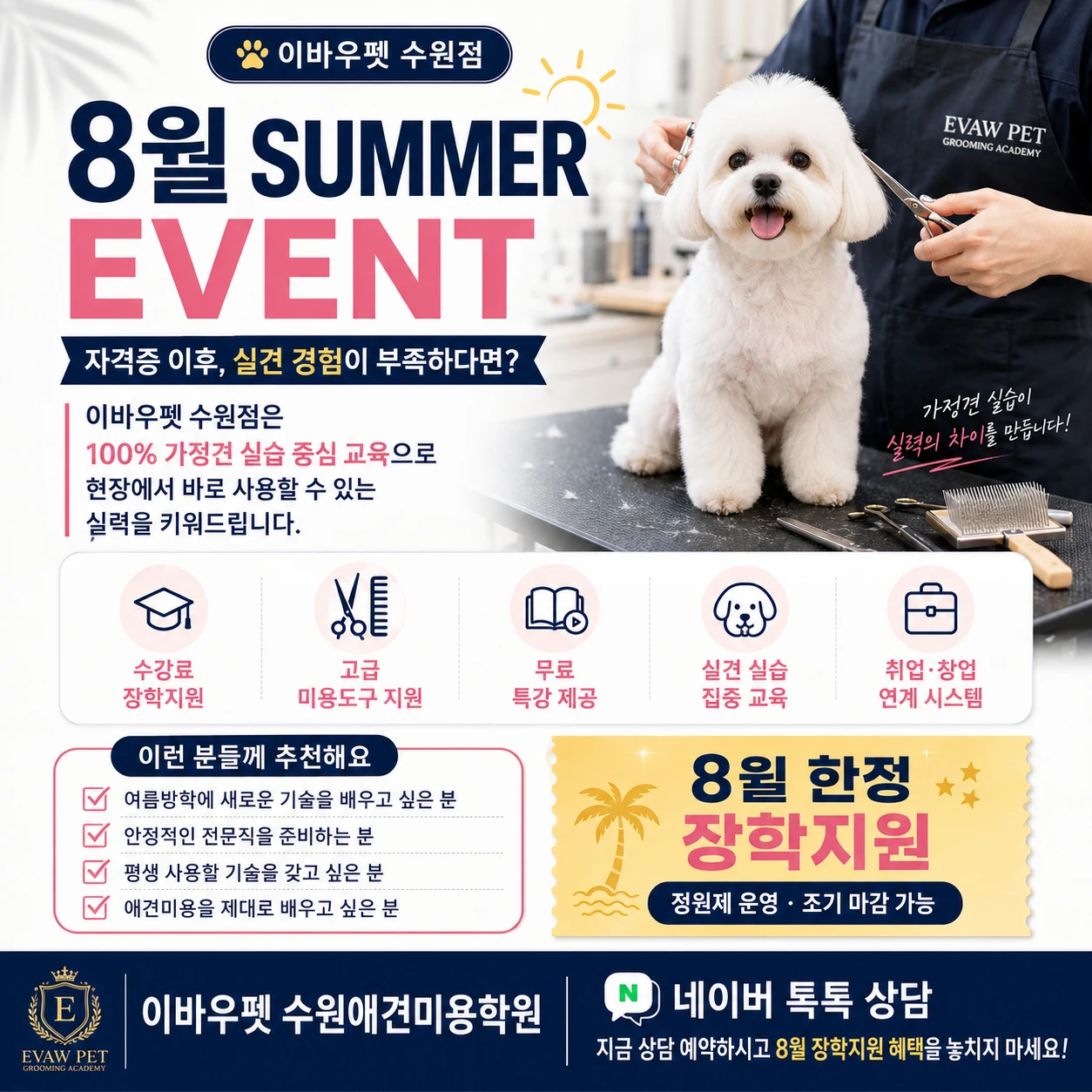 수원애견미용학원 8월 SUMMER EVENT (선착순)