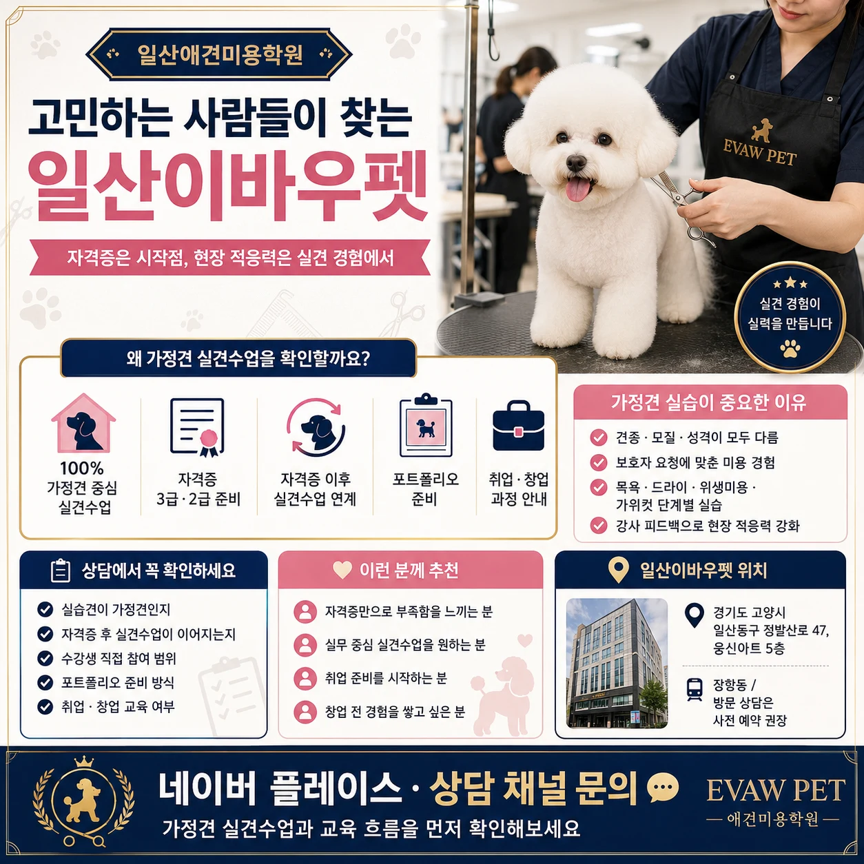 일산애견미용학원 고민하는 사람들이 찾는 일산이바우펫