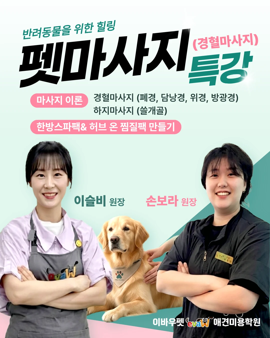 반려동물을 위한 힐링, 펫마사지 특강