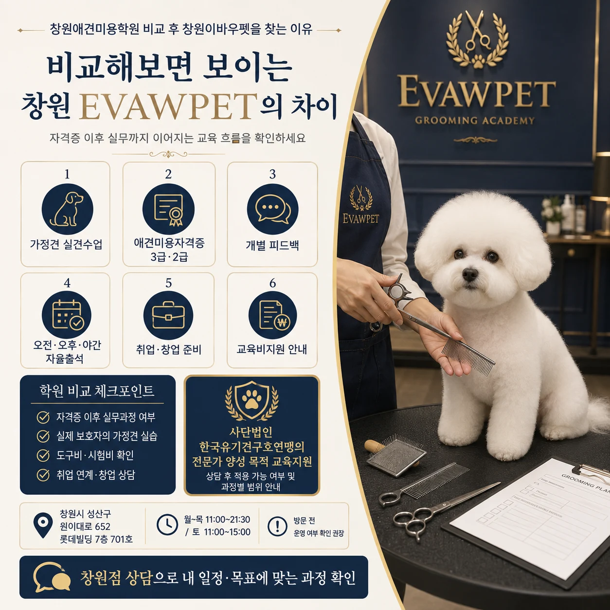 창원애견미용학원 비교 후 창원이바우펫을 찾는 이유