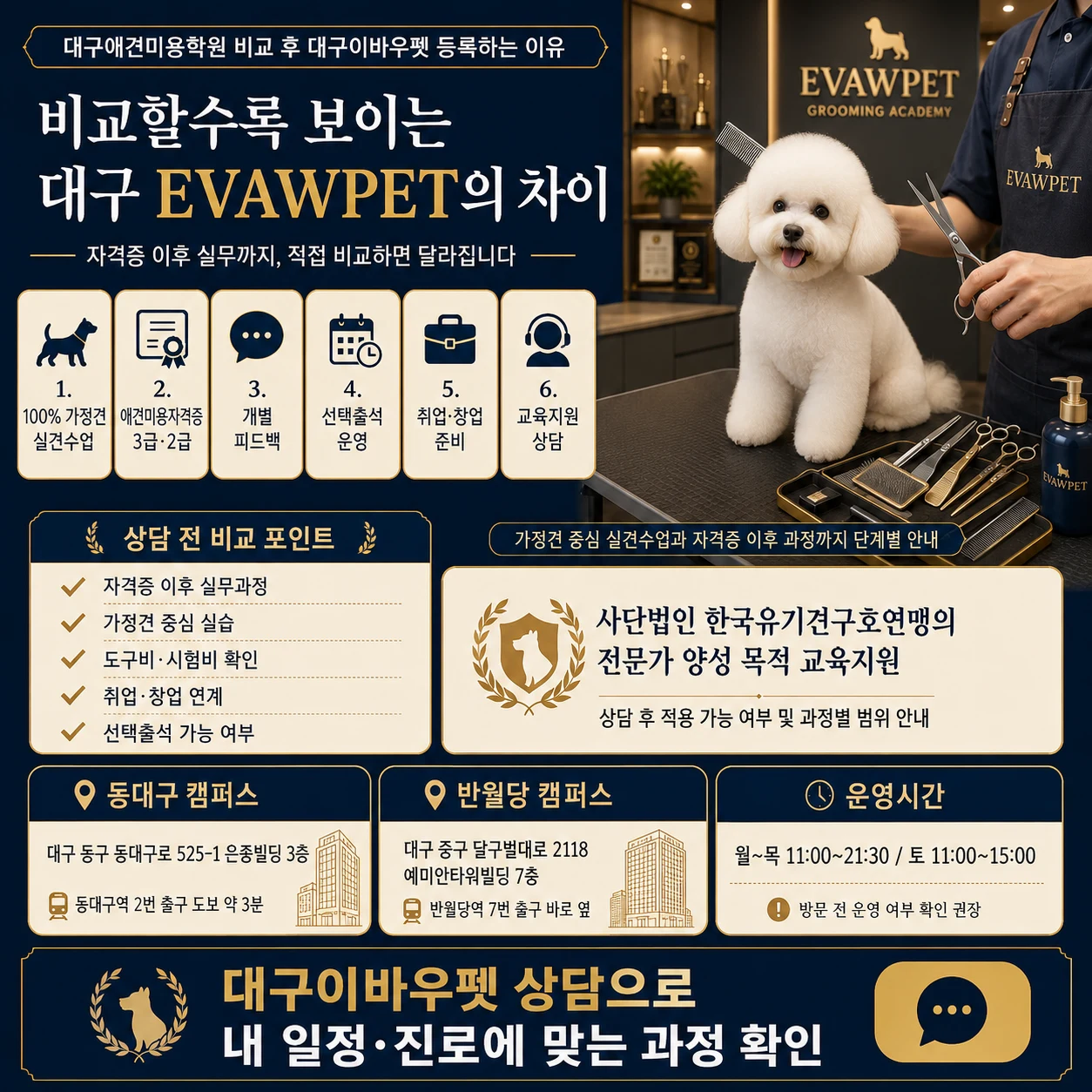 대구애견미용학원 비교 후 대구이바우펫 등록하는 이유