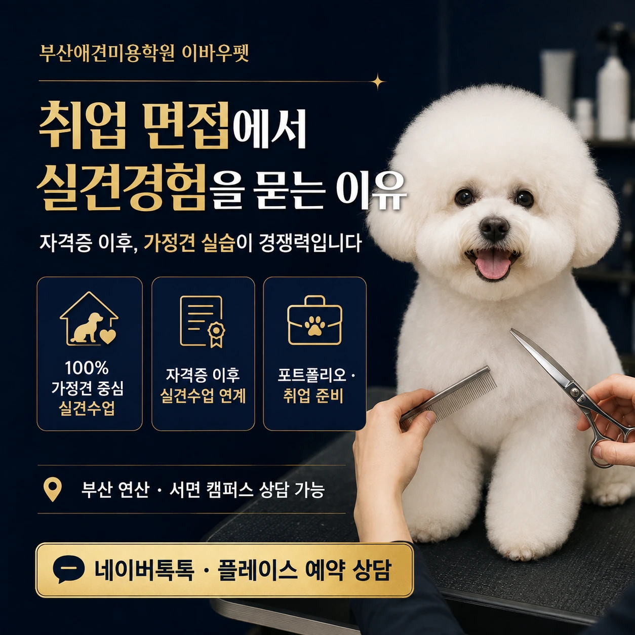 부산애견미용학원 취업 면접에서 실견경험을 묻는 이유