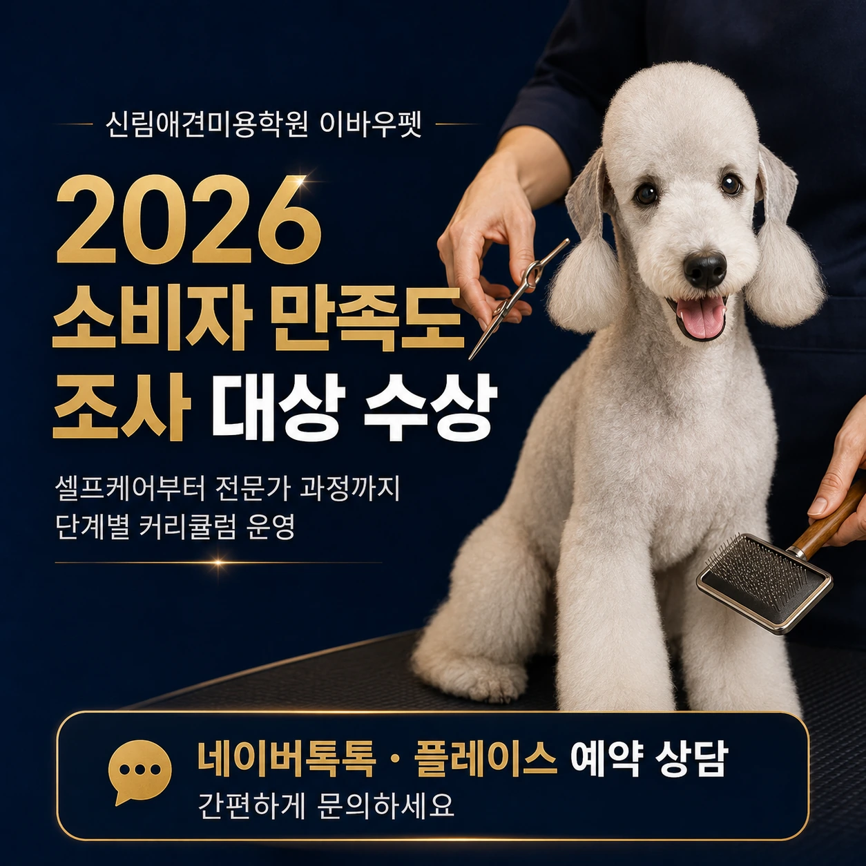 신림애견미용학원 이바우펫 셀프케어부터 부담없이 배우자